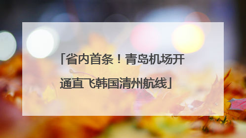 省内首条！青岛机场开通直飞韩国清州航线